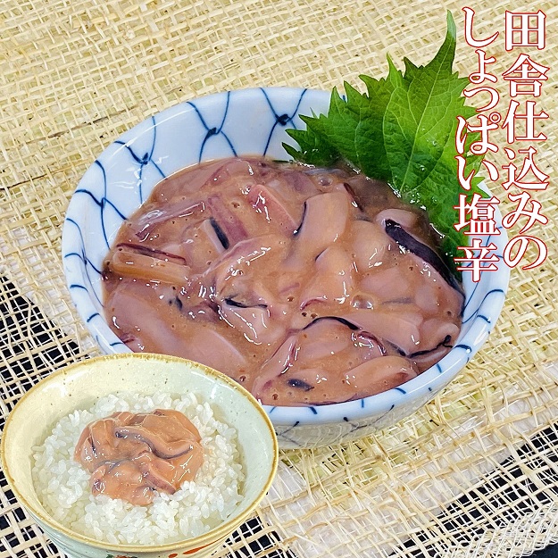 113+-+コピー_1690870666401.jpg